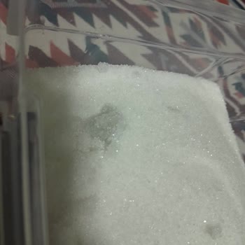 A101 Şeker Paketinden İçinden İslak Çıktık