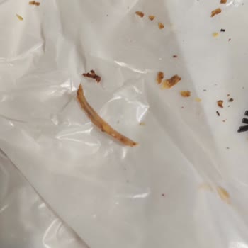 Maydonoz Döner Maydanoz Dönerden Tavuk Kemiği