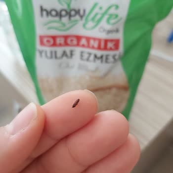 Hakmar Gıda Happylife Organik Markasının Yulaf Ezmesinden Böcek Çıktı