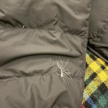 Karspor Yüksek Fiyatlı Montun Kalite Sorunları