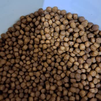 Hepsiburada Firmasında Kolay İade Ve Premium Üyelik Saçmalığı