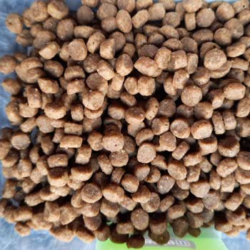 Hepsiburada Firmasında Kolay İade Ve Premium Üyelik Saçmalığı