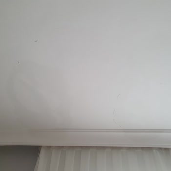 Allianz Sigorta Acilen Ödemenin Güncel Rakamlar İle Güncellenmesini Talep Ediyoruz.