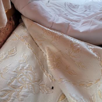 Sünnet Gölü Doğal Yaşam Oteli Hayal Kırıklığı Yaratan Otel Deneyimi