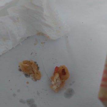 Yemeksepeti Sipariş Edilen Yemekte Beklenmedik Sorun Ve Müşteri Hizmetleriyle İlgili Yaşananlar