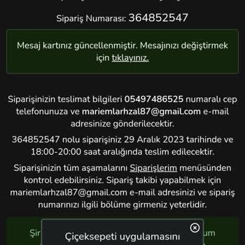 ÇiçekSepeti İnternet Üzeri İş Başvurusunda Kişisel Bilgilerimin Çalınma Endişesi