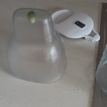 Brita Sürahi Yosun Tutması
