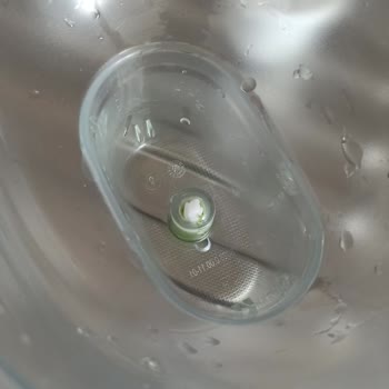 Brita Sürahi Yosun Tutması