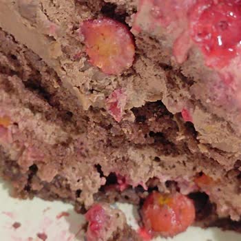 Merhaba Pastaneleri Çürük Orman Meyveli Pasta.