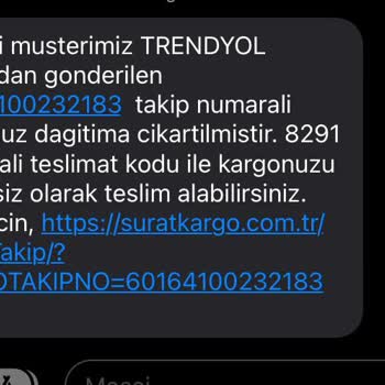 Sürat Kargo Adrese Gelip Bahçeden Dönüyorlar