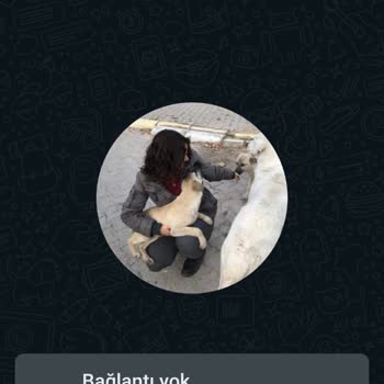 Superonline İnterneti Zayıf Bağlantı Geçmiyor.