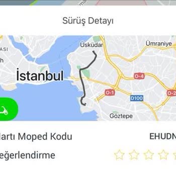 Martı Alakası Olmayan Trafik Cezası