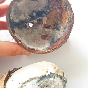 BİM Bozuk Ürününü İade Almıyor.