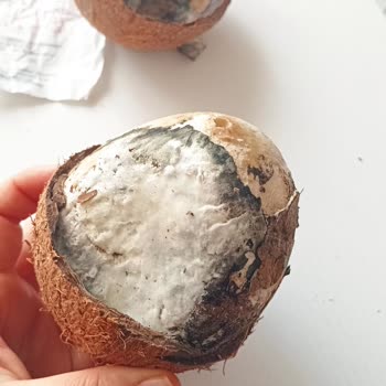 BİM Bozuk Ürününü İade Almıyor.