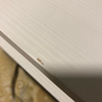 Enza Home Ürünlerinin Arkasında Durmuyor!