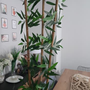 N11 Muhatap Yok Görsel Farklı Gelen Farklı