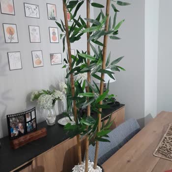 N11 Muhatap Yok Görsel Farklı Gelen Farklı