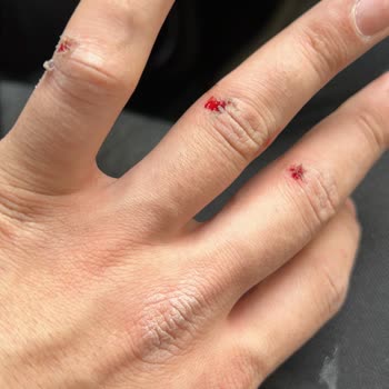 Gürses Oto (İstanbul) Çalışanlar Ve Garanti Kapsamı