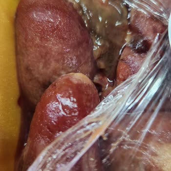 Kokmuş Lezita Tavuk Ciğeri