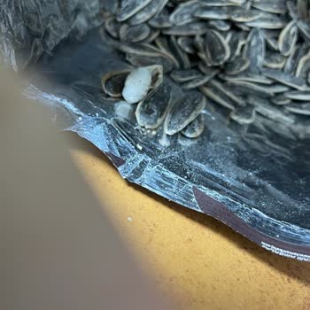 A101 Ürünün İçinden Salyangoz Çıktı Çekirdekten