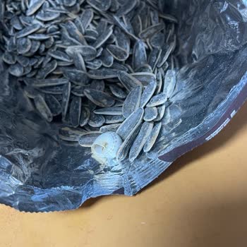 A101 Ürünün İçinden Salyangoz Çıktı Çekirdekten