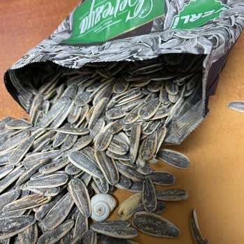 A101 Ürünün İçinden Salyangoz Çıktı Çekirdekten