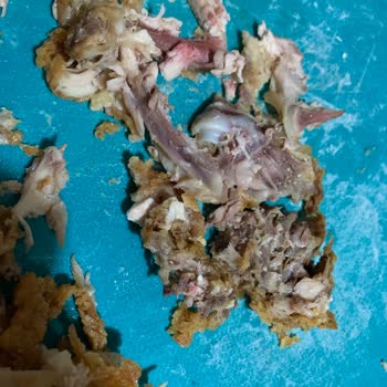 Popeyes Sandviçten Bütün Kemik Çıkması