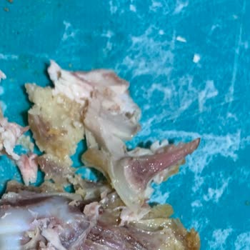 Popeyes Sandviçten Bütün Kemik Çıkması