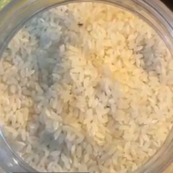 Şok Marketler Pirinçten Haşere Çıktı
