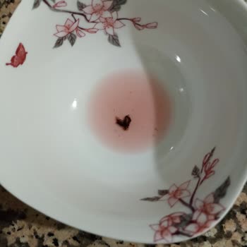 Link İçecek Link İçeceği İçinden Çıkan