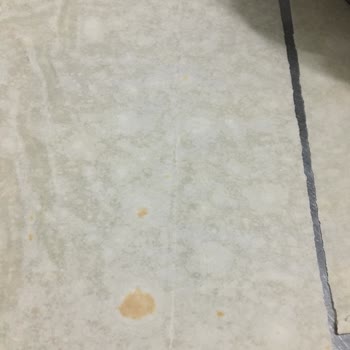 Komagene Yeşillikler De Böcek Var