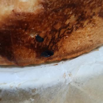 Karaca Züccaciye Kalitesiz Kek Kalıbı Hayal Kırıklığı Yarattı