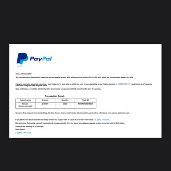 PayPal Yanıltıcı İşlem Uyarısı