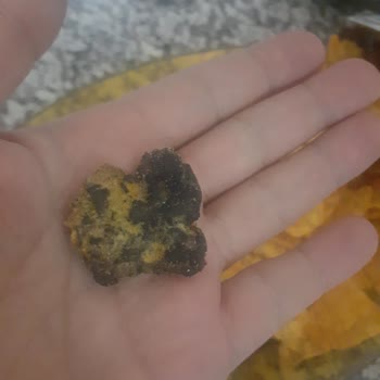 BİM Şikayet Etmek İstiyorum