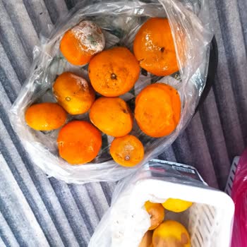 Beko Buzdolabım Yiyecekleri Bozuyor