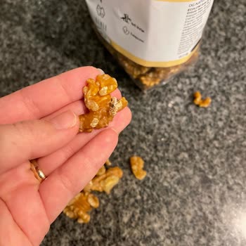 Organik Gurmem Marka İç Cevizde Kurtlanma