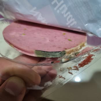 Namet Bozuk Çıkan Hindi Salamı Ve Kalite Kontrolü