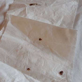 Umut Thermal'den Şikayetim Var