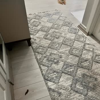 K9 Akademi Eğitim Beklerken Hayal Kırıklığı Yaşadım