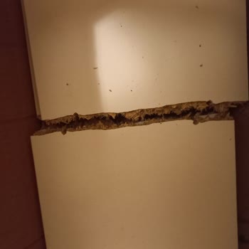 A101 Ve Sürat Kargo Deforme Ürün Gönderiyor