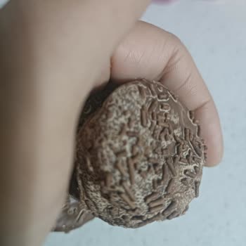 Ülker Üründe Küflenme Sorunu Ve Müşteri İletişimi Talebi