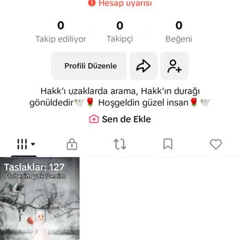 TikTok Hesabım Haksız Yere Kapatıldı