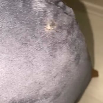 Ewde Mobilya (Instagram: ewdemobilya) Ev Mobilyası Siparişinde Yaşanan Sorunlar Ve Müşteri Şikayeti