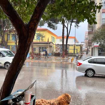 İzmir Büyükşehir Belediyesi Eshot Şoförü Görevi Kötüye Kullanma