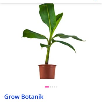 Pazarama Müşteriyi Mağdur Eden Firmayı Korudu