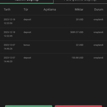 Fundturk Ltd (fundturkltd.org) Yatırım Şikayeti
