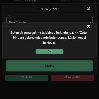 Fundturk Ltd (fundturkltd.org) Yatırım Şikayeti