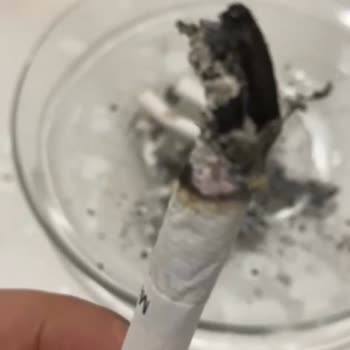 Marlboro Sigarasından Odun Parçaları Çıkıyor