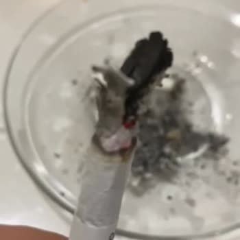 Marlboro Sigarasından Odun Parçaları Çıkıyor