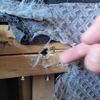 Vivense Kanepelerin İskelet Kısmında Meydana Gelen Kırıklar Ve Tamir Talebi